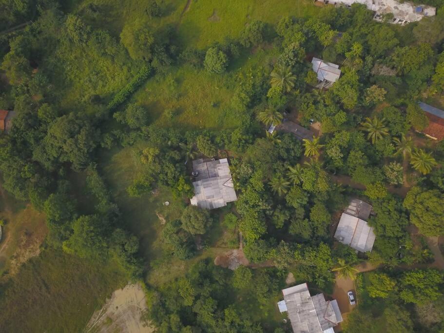 Sigiriya Village Home Stay Eksteriør billede