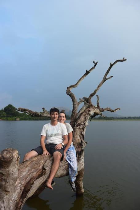 Sigiriya Village Home Stay Eksteriør billede